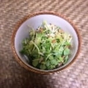 納豆の食べ方-スプラウト♪